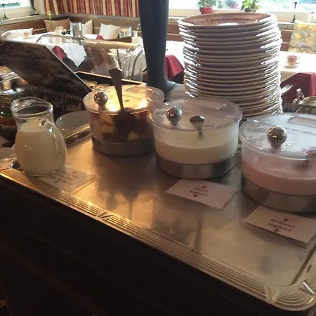 ديزريه - غارني - للبالغين فقط